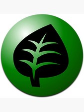 CHOOSE YOUR OWN! Pokemon Unnumbered Grass Energy