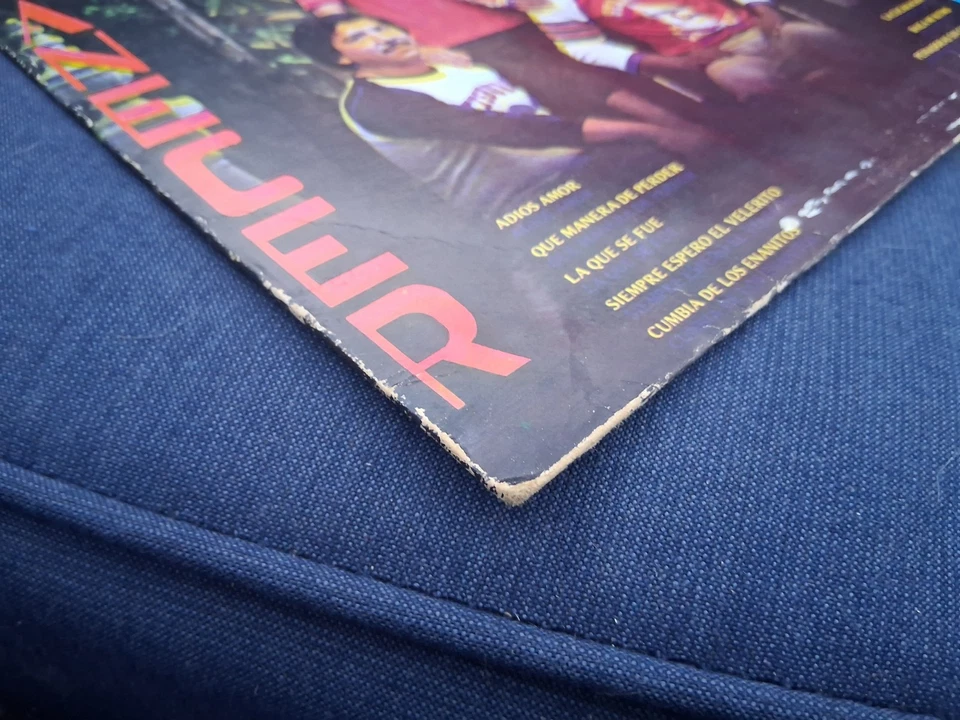 Grupo Amanecer Viva Spanish Latin Mexican Import Vinyl Record LP  - Image 3 of 4