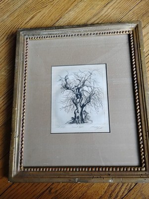 Sheldon (Shelly) Fink 1925-2002 Etching Ancient Apple Pencil Signed 1962