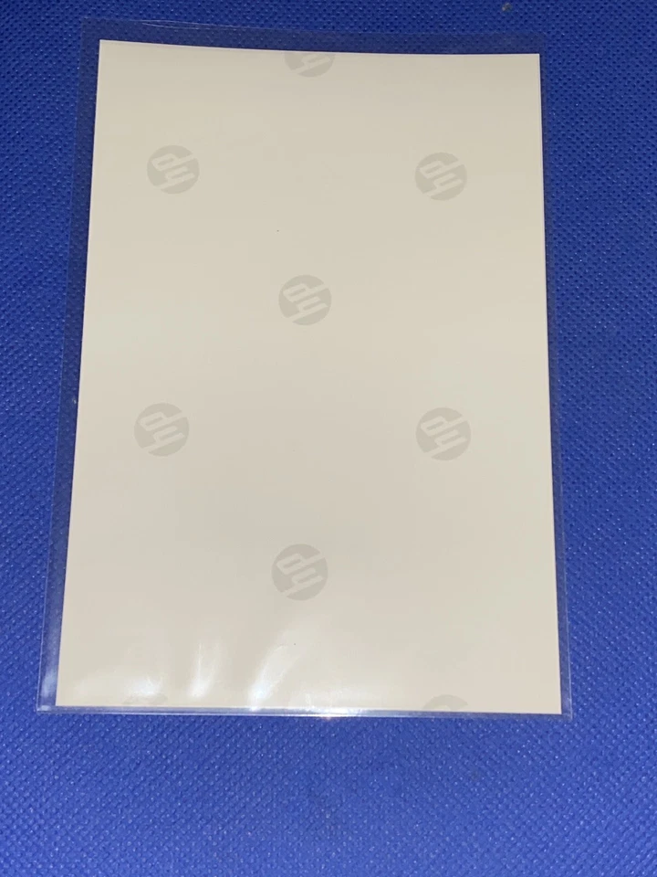 Foto reimpressão Paige VanZant sexy ufc bkfc wwe 4X6 em capa protetora - Imagem 3 de 3