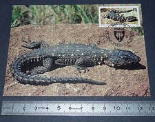 CARTE POSTALE 1er JOUR PHILATELIE 1986 LEZARD AFRIQUE DU SUD VENDA SIBASA