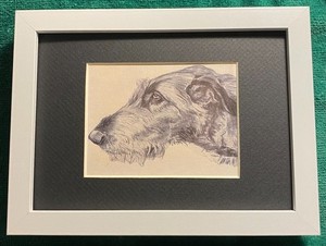 Irish Wolfhound MATTED | FRAMED | READY TO GIFT - 1986 Vintage Dog Art Print W