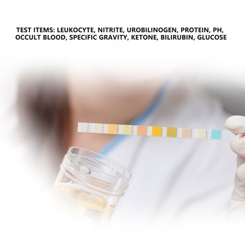 100 Urine Test Strip 10 pad UTI Ketone Blood Sugar Protein White