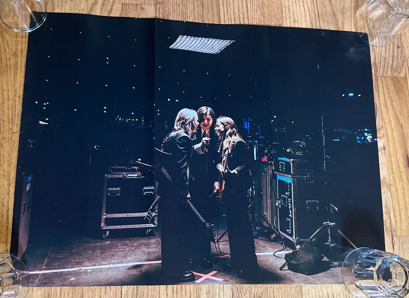 “The Record” Album Promo Poster 18x24 Phoebe Bridgers