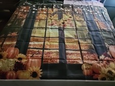 7'x5' Fall Window Pumpkins Photo Backdrop
