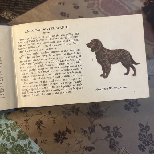 Vtg The Blue Book of Dogs Whitman Publishing - Picture 4 of 6