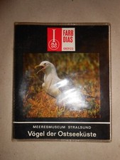 Imago Color-Dia-Serie  Nr.0831-23 "V&ouml;gel der Ostseek&uuml;ste",  OVP, komplett