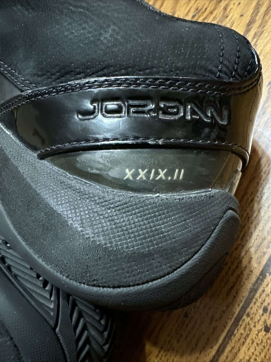Rare NIKE JORDAN TEAM REIGN XXIX.II LOW Black/Silver 332124  display picture 3
