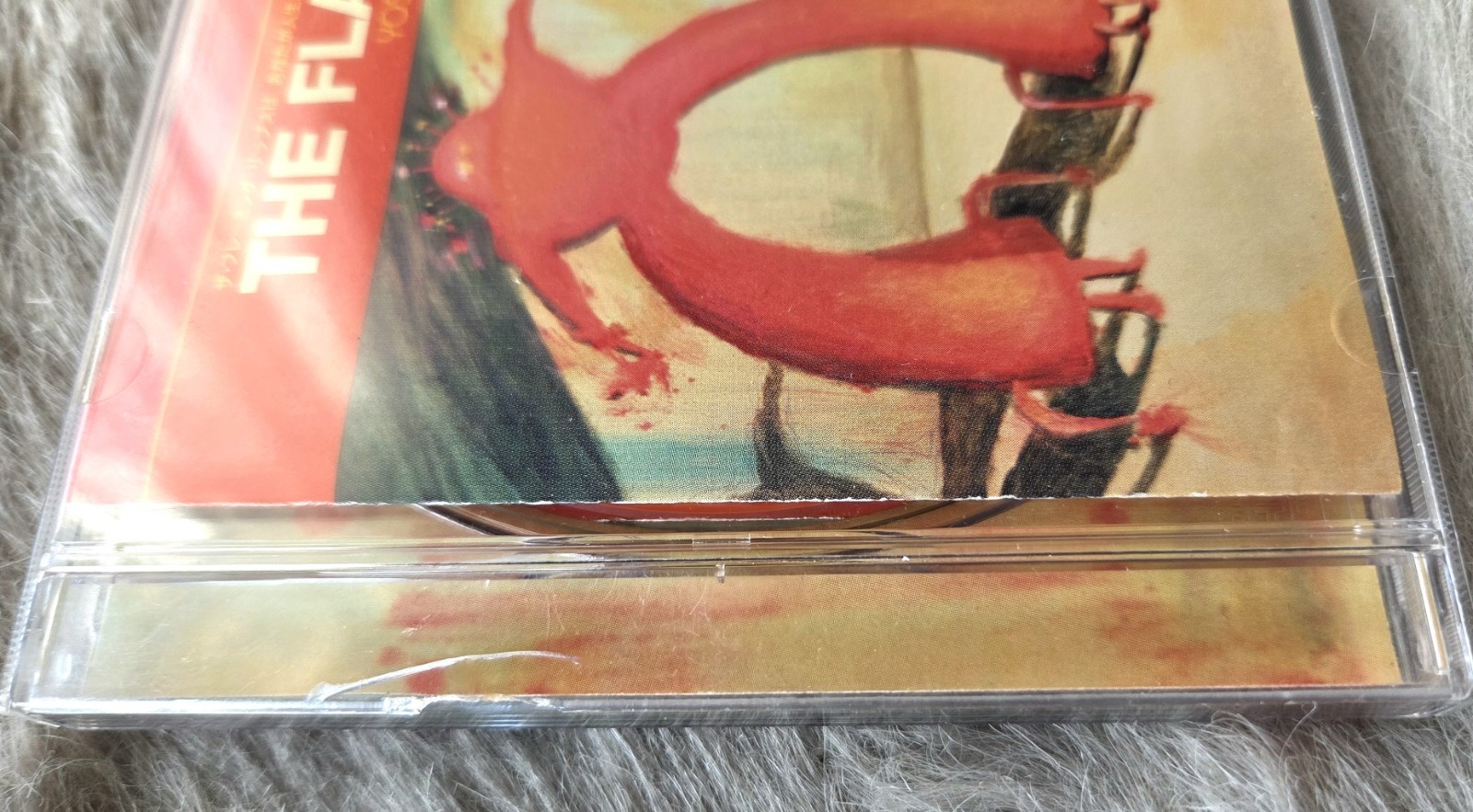 Bild 11 von 13