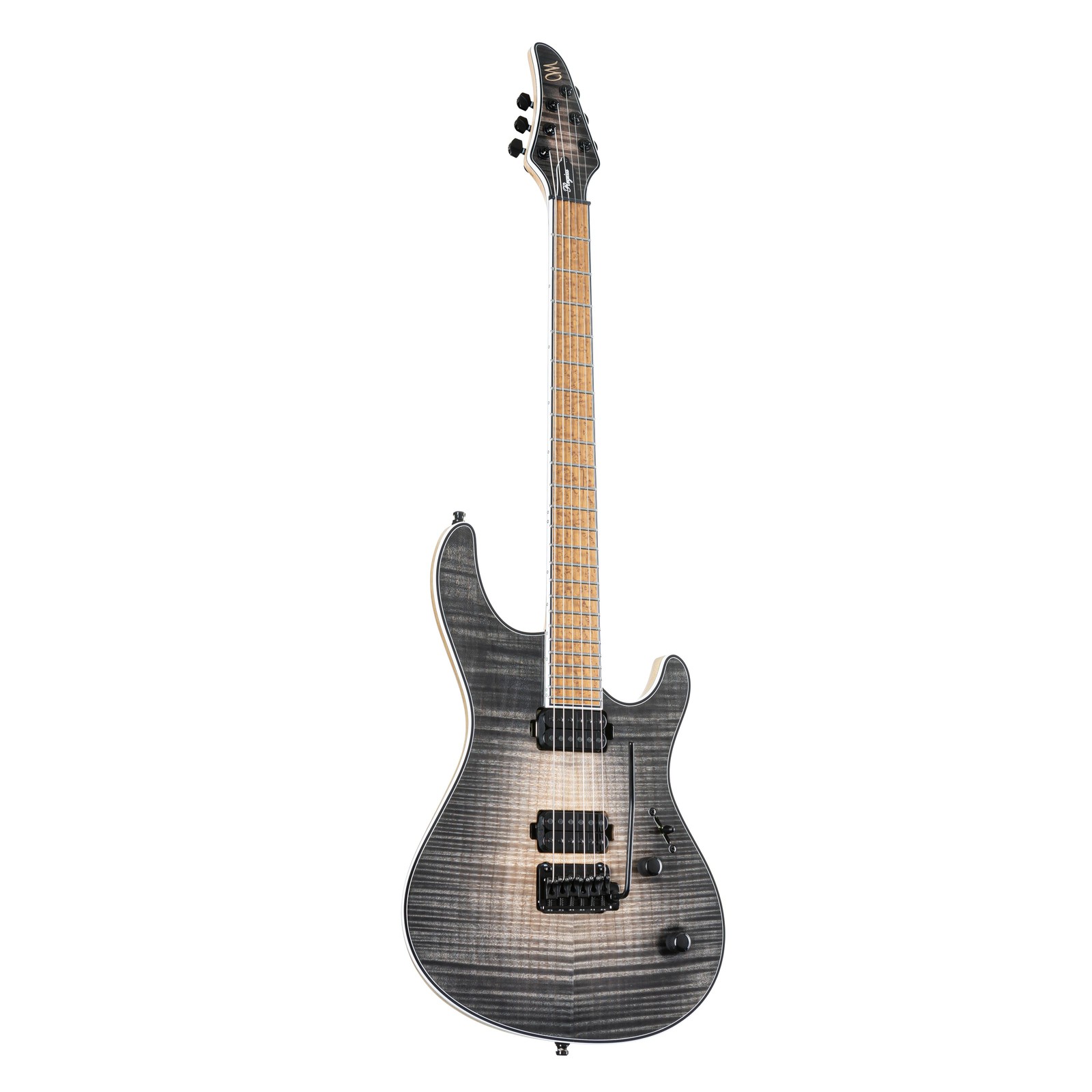Майонез Regius V24 6 Graphite Burst - Изготовленный на заказ E-Gitarre 885590₽