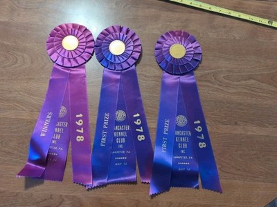 Vintage beautiful AKC Kennel Club Dog Show Ribbons