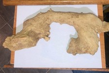 Natural Driftwood 13" x 5" x 4"