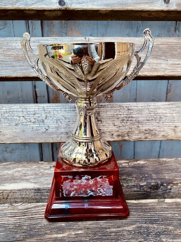 Silver Trophy Vintage Antique UnEngraved Plated Trophies Cup Award Movie Prop - Picture 4 of 24