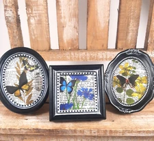 Set of 3 - 3" Framed Mini Butterfly Pictures Boho Nature Insect Display