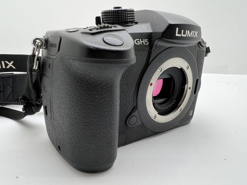 Panasonic LUMIX DC-GH5E System Camera 20MP 4K 60p Video, 4K/6K Profi Kamera TOP - 第 4/24 張圖片