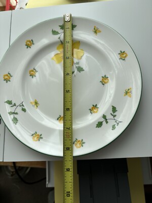Royal Victoria Fine Bone China Salad Plate Dogwood Roses