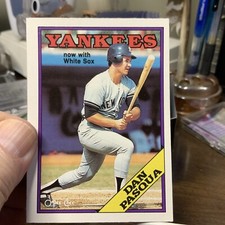 1988 O-Pee-Chee New York Yankees Baseball Card #207 Dan Pasqua
