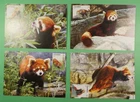 DR WHO TAIWAN CHINA 4 FDC MAXIMUM CARD ANIMAL R63882