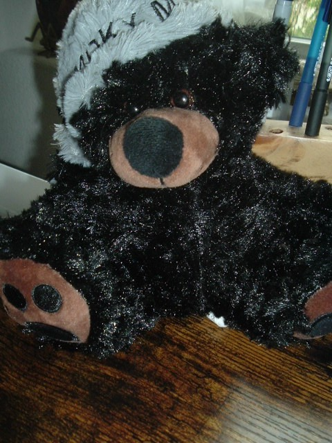 Foto 1 di 2