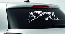 Heckscheiben Aufkleber Autoaufkleber Tattoo Pony Hengst Fohlen Stute Pferd 112