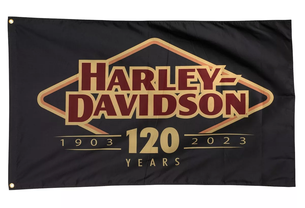 Harley on sale davidson flag