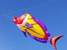 17ft Yellow Hot Fish 21-3210A-Y