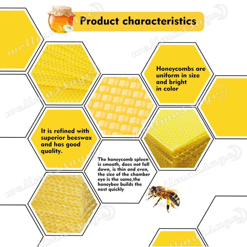 30X Foundation Bee Hive Wax Frames Waxing Beekeeping