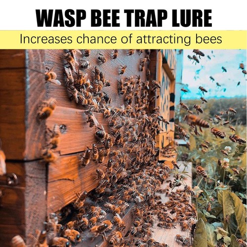 30ml for Beekeeper Bee Pheromone Swarm Attractant Lure Bait Trap Beekeeping - Picture 9 of 12