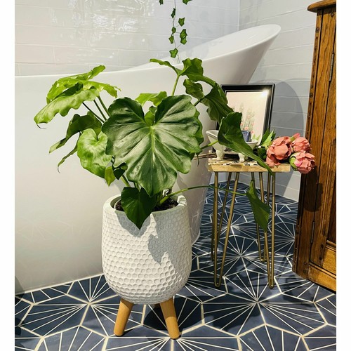 Indoor Plant Pots IDEALIST Honeycomb Style Egg Flower Pots on Legs - Picture 21 of 48