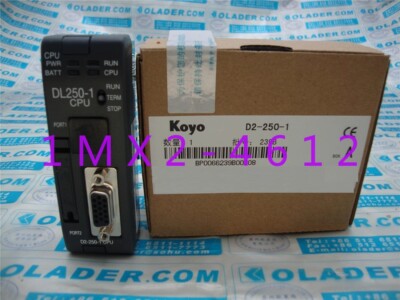 1pc  new  KOYO  D2-250-1