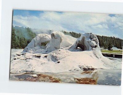 #ad #ad Postcard Grotto Geyser Yellowstone National Park Wyoming USA $3.46