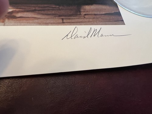 David Mann "Tarzan" Handsigniert Limited Edition Lithographie Kunstdruck 334/10000 - Bild 3 von 4