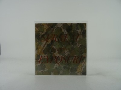 SURREAL EXPOSURE DUCKTAILS (A48) 1 Track Promo CD Single including Picture Sleev
