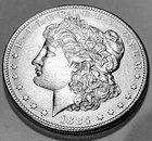 1884 S Morgan Dollar * Choice BU FULL BREAST FEATHERS *