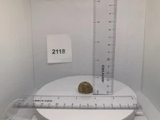 9182118 Netsuke Ojime Rat