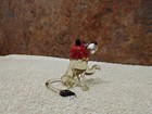 Blown Glass Animal - 2 Sitting Lions — photo 8
