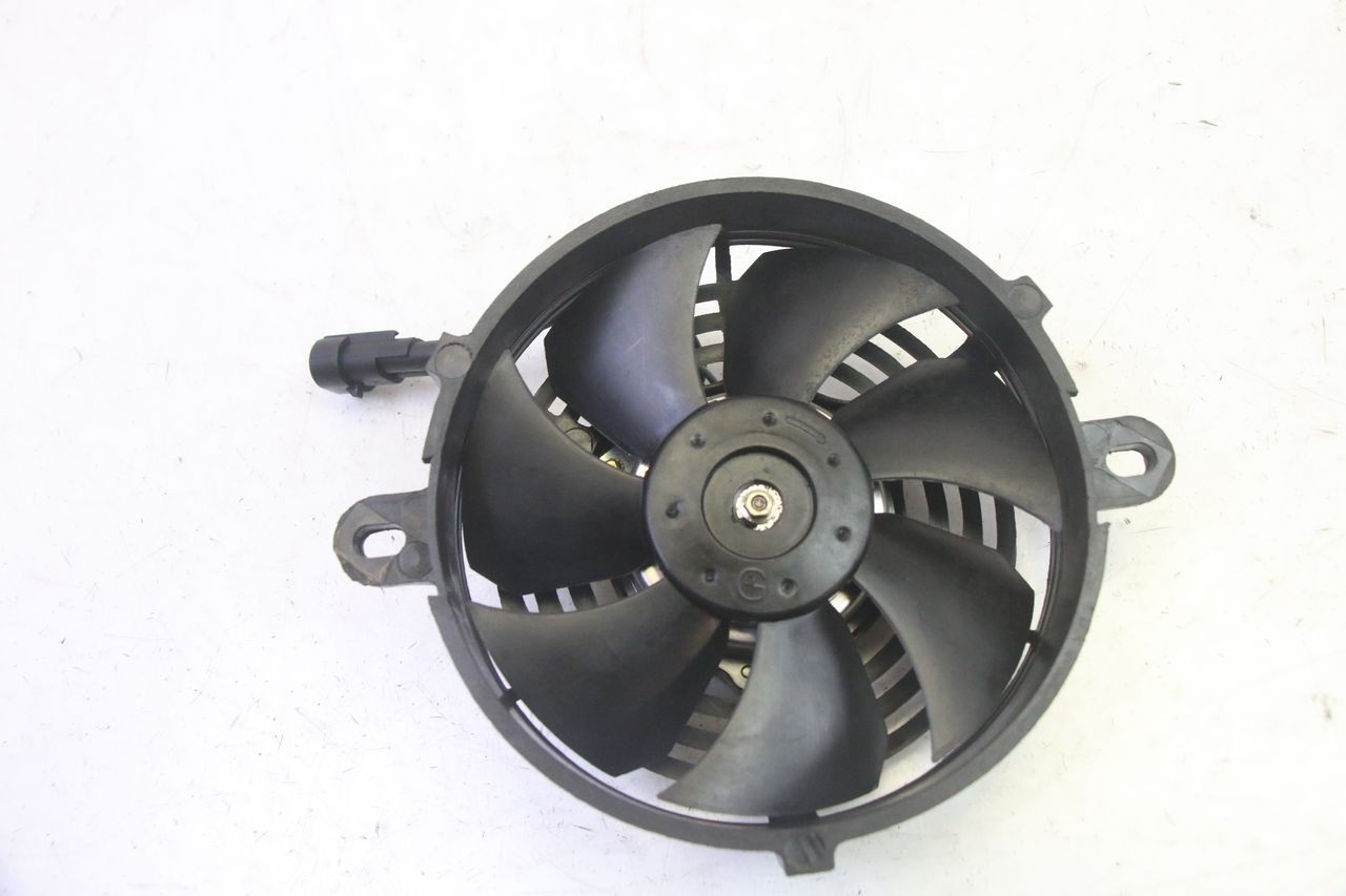 FAN - KSR TR SM 50 (2015 - 2018)