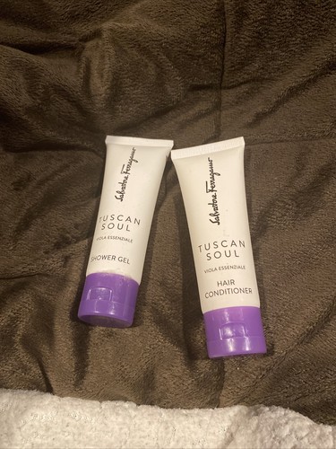New Set Of 2 Ferragamo Tuscan Soul HAIR 