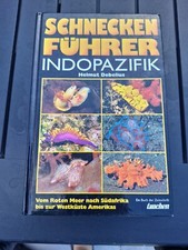 Schneckenführer Indopazifik Rotes Meer Schne...
