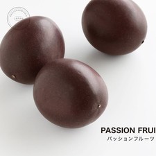 Japanese Fake Food Passion Fruit Realistic Food Sample Replica Display Japan