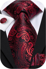 Mens Paisley Floral Silk Tie for Men Striped Necktie and Pocket Square Cufflinks