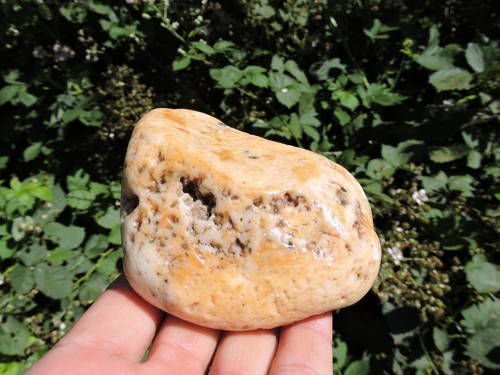 2 UNUSUAL Oregon Rhyolite / Chert Nodule Stones (2 lbs+ Total) Sugar Agates - Picture 19 of 24