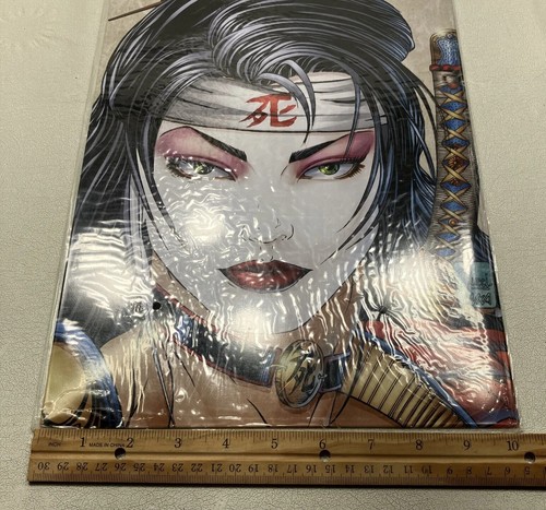 ✔️ SHI: THE WAY OF THE WARRIOR #12 WILLIAM TUCCI Cómics de cruzada - Imagen 7 de 10