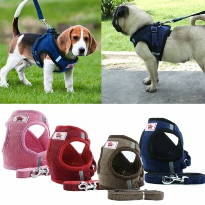 Pet Control SMALL Dog Harness Soft Mesh Walk Collar Safety Strap Vest Leash Set