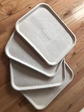 100 Saveaday/Chinet Paper trays - Disposable Cafeteria Trays! Great for crafts!