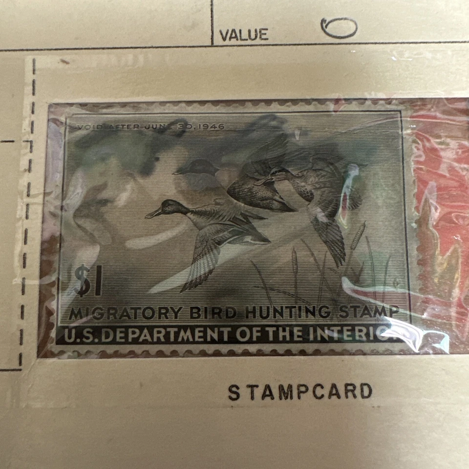 1946 One Dollar U.S. Department of the Interior Migratory Bird Hunting Stamp - Image 2 of 3