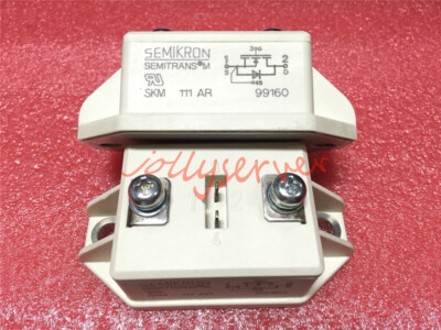 1PCS SKM111AR Modul
