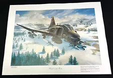 2002 US Air Force F-4 Phantom "Weasel In The Weeds" Aircraft Print