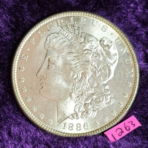 VIDEO 👀🔥Gold Rim Toned BLAST WHITE🔥1886 Morgan Silver Dollar CARTWHEEL BU