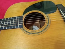 Martin and Vega Acoustic Guitar